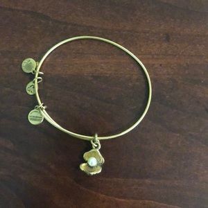 Alex and Ani Bracelet